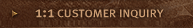 1:1 CUSTOMER INQUIRY